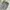 Streetwear Sportswear Casual pants Pria green photo 5