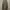 Japanese brand Streetwear Casual Casual pants Pria green photo 3