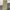Bang Bang Jeans Casual Formal pants Pria tan khaki photo 5