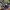 47 Brand Streetwear Casual Hat Pria gray photo 2