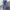 Levi's Vintage Jeans Pria blue photo 1