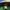 Von Dutch Streetwear Casual Hat Pria green photo 7