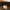 Von Dutch Streetwear Y2K Hat Pria brown photo 7