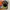 Von Dutch Streetwear Y2K Hat Pria brown photo 6
