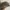 Von Dutch Streetwear Y2K Hat Pria brown photo 4