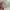 Von Dutch Streetwear Y2K Hat Wanita purple photo 4