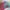 Von Dutch Streetwear Y2K Hat Wanita pink blue photo 5