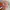 Von Dutch Vintage Y2K Hat Wanita pink brown photo 3