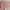 Von Dutch Y2K Grunge Hat Wanita pink photo 5