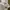 Von Dutch Vintage Y2K Hat Wanita white pink photo 6