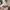 Von Dutch Vintage Y2K Hat Wanita white pink photo 4