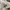 Von Dutch Vintage Y2K Hat Wanita white pink photo 5
