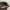 Von Dutch Y2K Luxury Hat Pria black gray photo 6