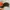 Von Dutch Y2K Luxury Hat Pria black gray photo 5