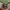 Von Dutch Y2K Luxury Hat Pria black gray photo 1