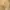 Coach Minimalist Casual Sneakers Wanita white tan photo 8