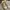 Converse Vintage Streetwear Sneakers Pria orange photo 1