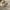 Converse Vintage Streetwear Sneakers Pria orange photo 2