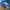 Adidas Minimalist Casual Casual shoe Pria blue photo 7