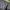 Gorpcore Futurist Puffer jacket Pria multicolor silver photo 6