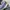 Nike Y2K Sportswear Sneakers Pria black gray photo 7