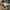 Vintage Baby chair Kids tan photo 1