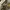 Vintage Baby chair Kids tan photo 5