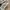 Asics Casual Sneakers Pria multicolor photo 2