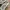Asics Casual Sneakers Pria Multicolor