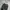 Gorpcore Tracksuit Pria gray photo 4