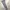 Oakley Sportswear Casual Sweatpants & Joggers Pria gray photo 3