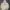 Jones New York Minimalist Hoody Pria tan cream photo 1