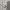 Jones New York Minimalist Hoody Pria tan cream photo 2
