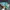 Adidas Luxury Futurist Sneakers Pria green photo 2