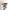 VANS Skater Casual Sneakers Pria white tan photo 3