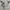 Y2K Grunge T-shirt Wanita white gray photo 2