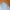 Vintage Formal shirt Pria white photo 2