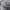 Vintage Formal shirt Pria white photo 5