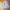 Vintage Formal shirt Pria white photo 1