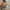 Vintage Streetwear Jeans Pria tan photo 4