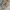 Vintage Streetwear Jeans Pria tan photo 3