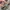 Vintage Streetwear Jeans Pria tan photo 5