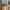 Adidas Streetwear Sportswear Pria green tan photo 5