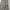 Issey Miyake Avant Garde Casual pants Pria gray photo 4