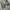 Issey Miyake Avant Garde Casual pants Pria gray photo 3