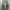 Issey Miyake Avant Garde Casual pants Pria gray photo 5