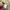 Hush Puppies Casual Sweater Pria tan photo 6