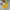 CurlySue Casual Puffer jacket Kids yellow photo 1
