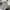 Casual Casual shirt Pria white gray photo 1