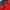 The North Face Cosplay Puffer jacket Kids navy red photo 3